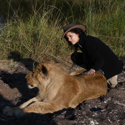 DSC_1580 photo Cat et lionne Botswana 2018